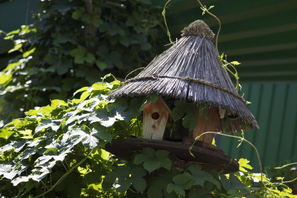 Hotel Zur Kutsche Oberschöna Kültér fotó